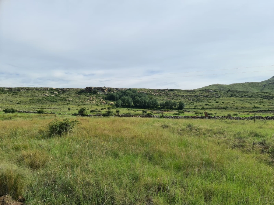 4 Bedroom Property for Sale in Jamestown Eastern Cape